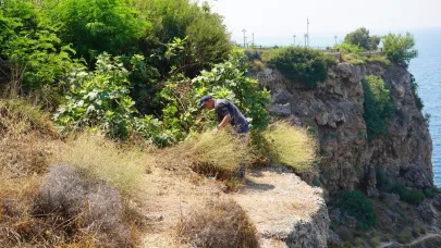 'Falezlerin gelini' de yangından etkilendi