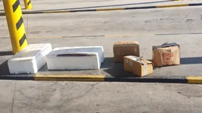 Muğla otobüs terminalinde sahipsiz midyelere el konuldu