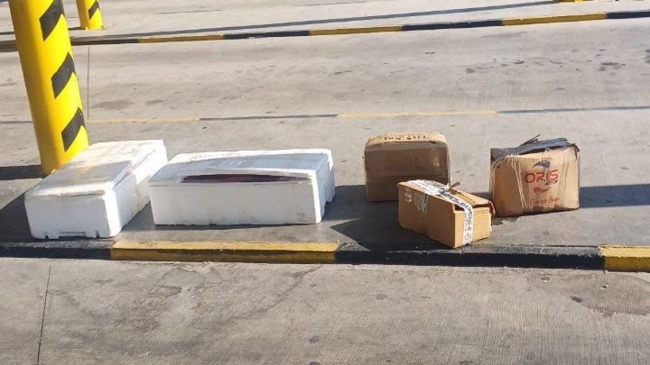 Muğla otobüs terminalinde sahipsiz midyelere el konuldu