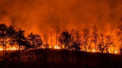 Antalya’da yangın sonrası hasar tespit çalışmaları yapıldı
