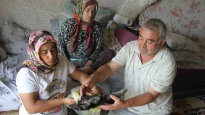 Sakladıkları 90 bin TL kül olan aile Merkez Bankası’na başvurdu