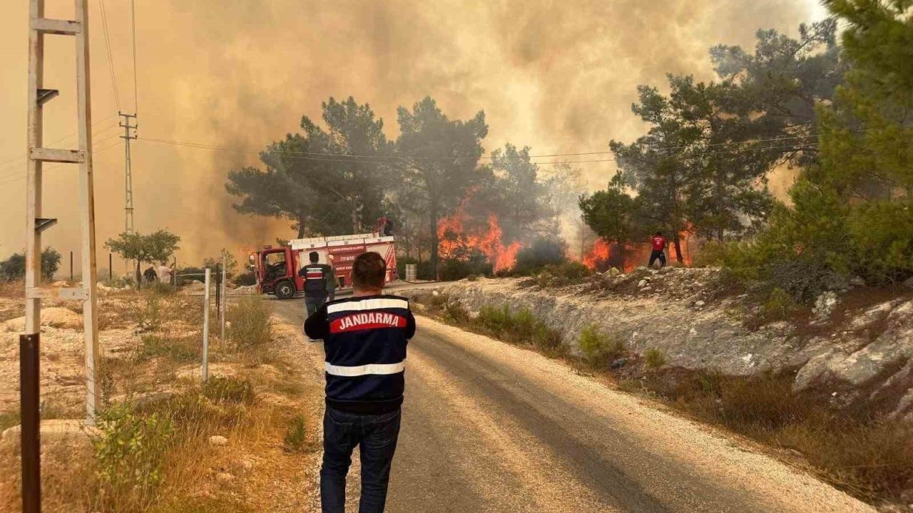 Mersin’deki orman yangınında jandarma ekipleri aktif rol aldı