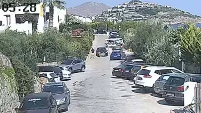 12 yıllık can dostu 'Çinko' trafik kazasında öldü, o anlar kamerada