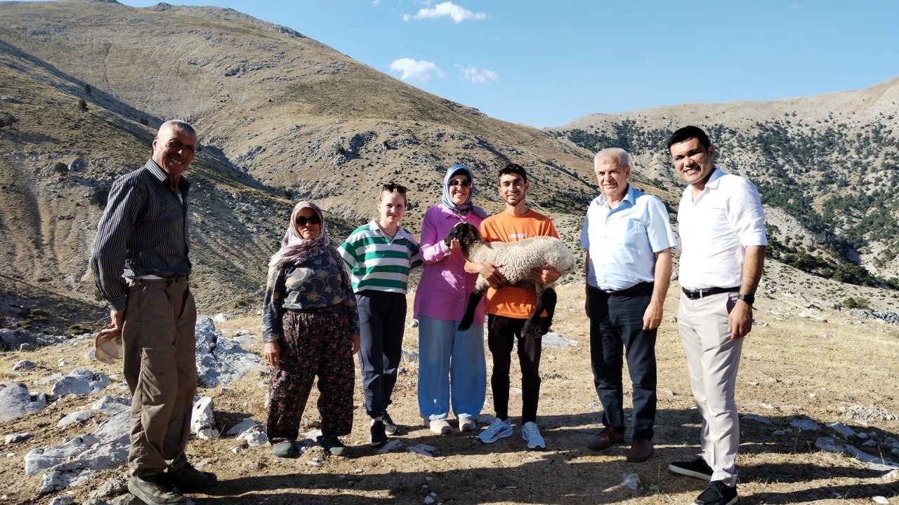 Hibe destekle başladı, 186 koyun yetiştirdi