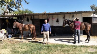 Rahvan atlarına sağlık taraması