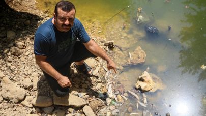 Su seviyesi düşen deredeki endemik yüzlerce balık öldü