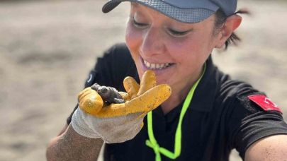 Antalya’da yavru caretta carettaların denizle buluşması için nöbet tutuluyor