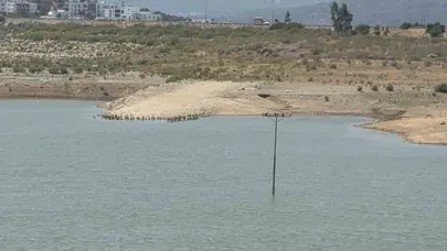 Bodrum’da su alarmı: "Barajlar kritik seviyeye geriledi"