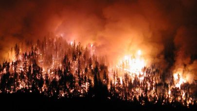 TMMOB: “Orman yangınlarıyla mücadelede bilimsel, koordineli ve kapsamlı önlemler şarttır”