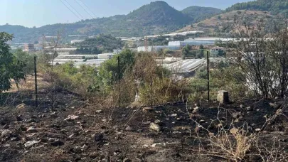 Alanya’da otluk alanda çıkan yangın büyümeden söndürüldü