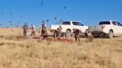 Kene ile mücadele için doğaya 200 çil keklik salındı