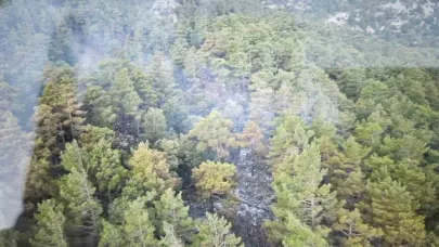 Isparta’da çıkan orman yangını büyümeden söndürüldü