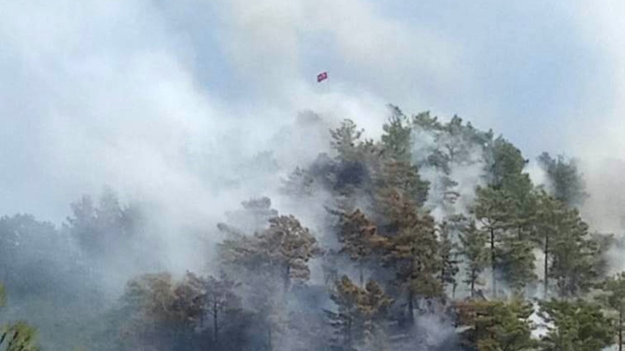 Anamur’da orman yangını