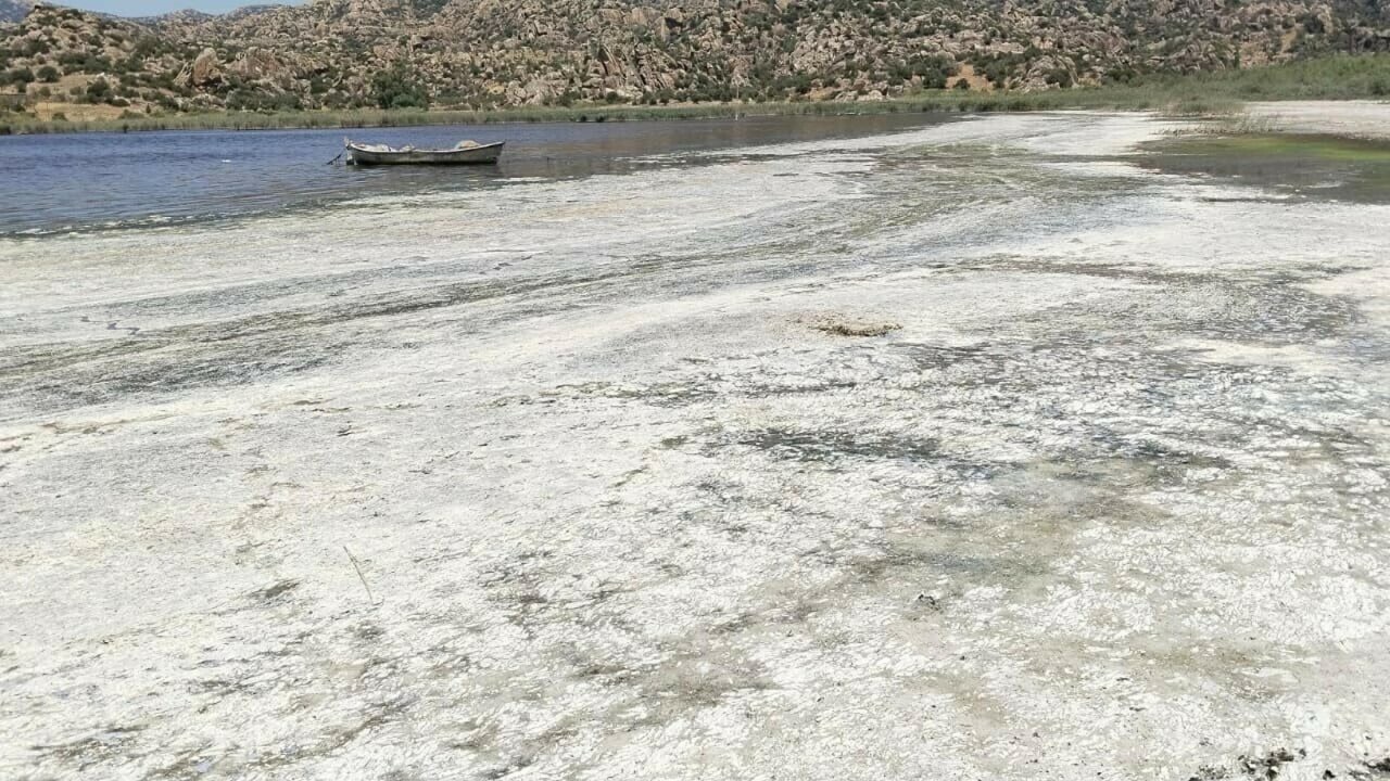 Bafa Gölü ve çevresinde kirlilik alarmı