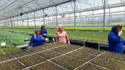 Kavurucu sıcaklar üretime engel değil