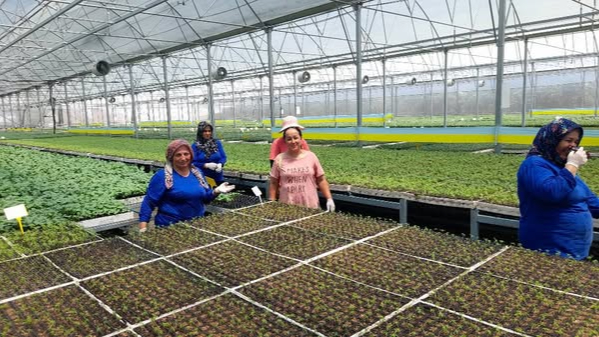 Kavurucu sıcaklar üretime engel değil