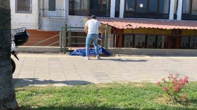 Sahil kenarındaki yürüyüş yolunda ceset bulundu