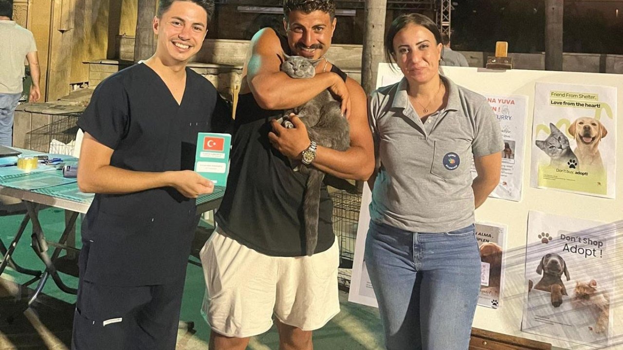 İki konserde 15 evcil hayvan sahiplendirildi