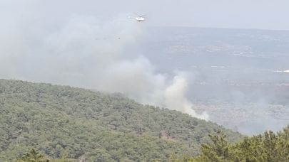 Mersin’de kaynak yaparken orman yangınına neden olan firma sahibi ile 4 kişi tutuklandı