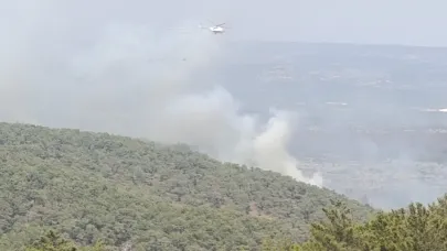 Mersin’de kaynak yaparken orman yangınına neden olan firma sahibi ile 4 kişi tutuklandı