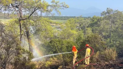 Muğla'daki ormanı yangını 2,5 saate kontrol altına alındı
