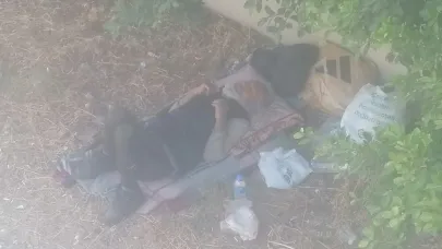 Üst geçit altında yaşam mücadelesi