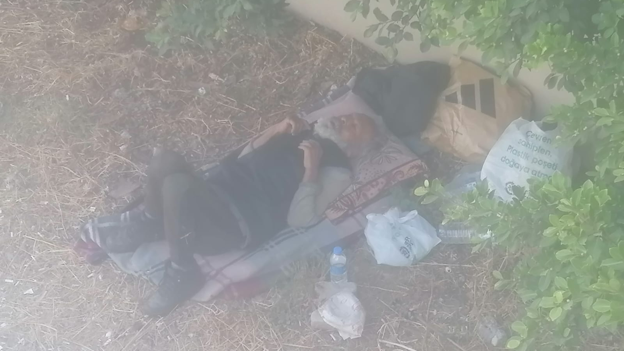 Üst geçit altında yaşam mücadelesi
