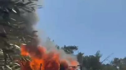 Evde çıkan yangın, ormana sıçramadan söndürüldü