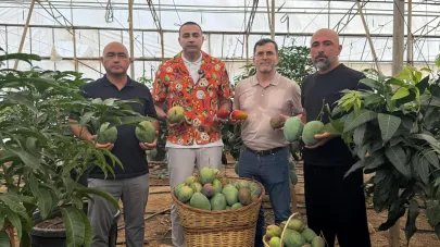Alanya’da Mango hasadı!