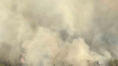Adana’da orman yangınına 6 helikopter ve 2 uçakla müdahale ediliyor