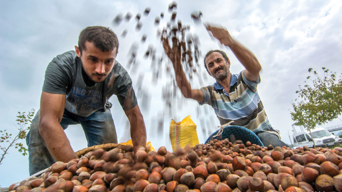 Antalya’dan çarpıcı tarım çıkışı! “Çiftçi zarar ediyor, millet pahalıya tüketiyor”