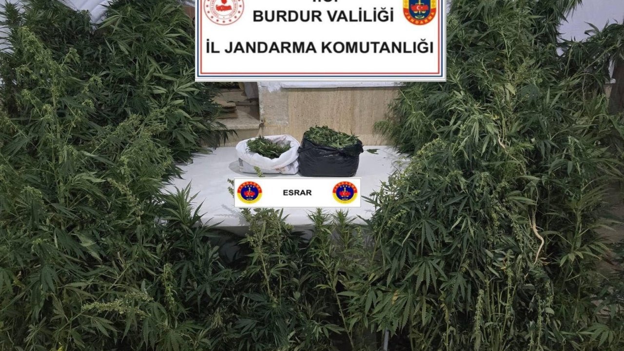 Uyuşturucu operasyonunda 1 tutuklama