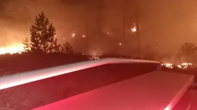 Muğla’da orman yangını