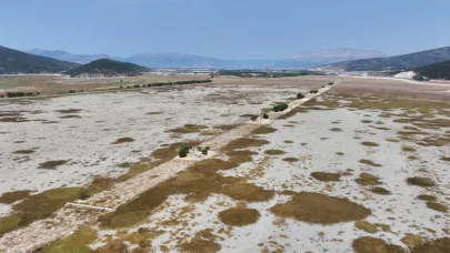 Kuraklığın en ağır bilançosu: Avlan!