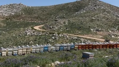 Gazipaşa’da 36 arı kovanı çalındı