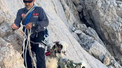 Dağlık alanda mahsur kalan 5 keçi kurtarıldı