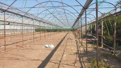 Antalya’da serada cinayet: 2 ölü