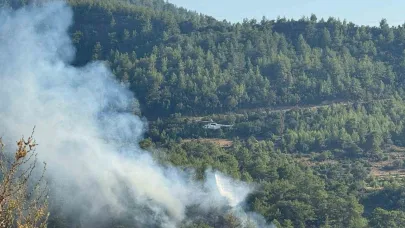 Manavgat’ta ormanlık alanda yangın