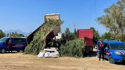 Mısır tarlası zehir tarlası çıktı