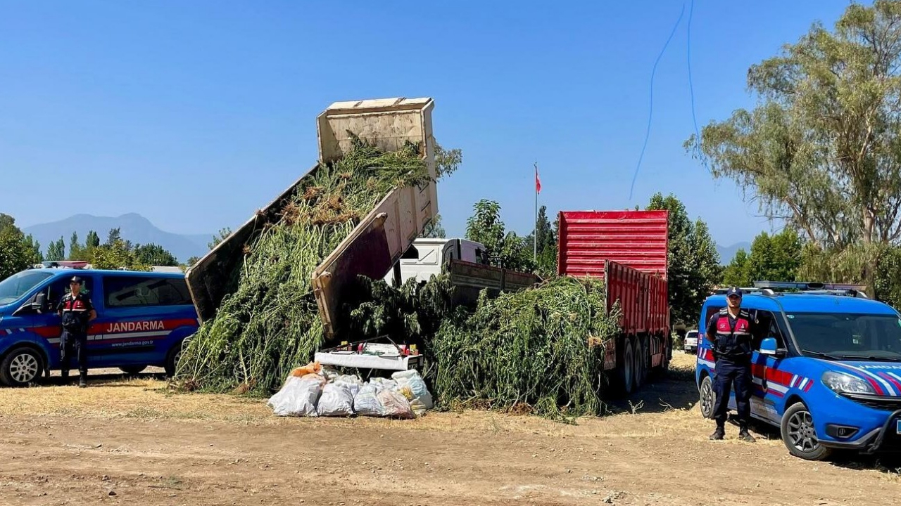 Mısır tarlası zehir tarlası çıktı