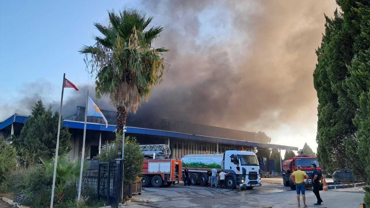 Antalya'da soğuk hava deposu ve imalathanede yangın