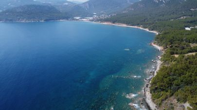 Akdeniz'in ısınmasıyla birlikte ekosistem değişiyor