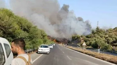 Milas’taki yangın kontrol altına alındı