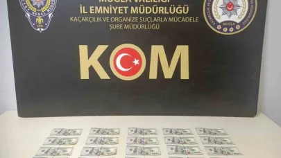 Muğla’da sahte dolar operasyonu