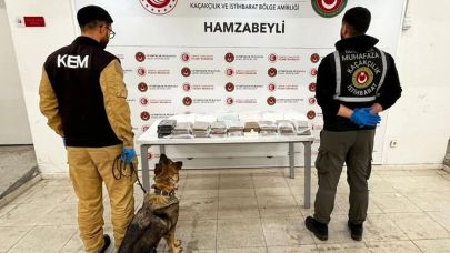 Esrar ve metamfetamine 'gümrük' darbesi