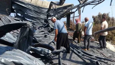 En mutlu günlerinde evleri yakılmıştı: Enkazdan 6 gün sonra yavru kedi çıktı