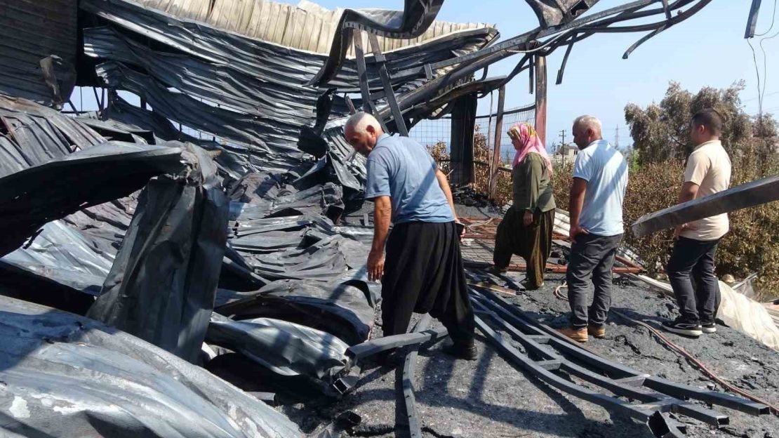 En mutlu günlerinde evleri yakılmıştı: Enkazdan 6 gün sonra yavru kedi çıktı