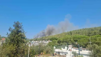 Bodrum’da orman yangını başladı
