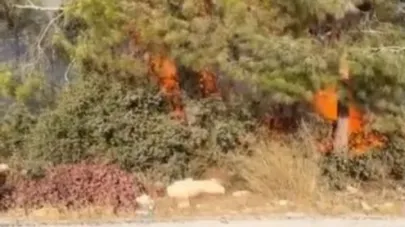 Mersin Erdemli’de orman yangını büyümeden söndürüldü