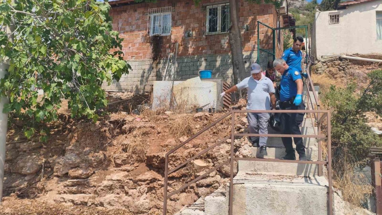 Gürültüyü devrilen kedi köpek maması zannettiler, gerçek sabah ortaya çıktı